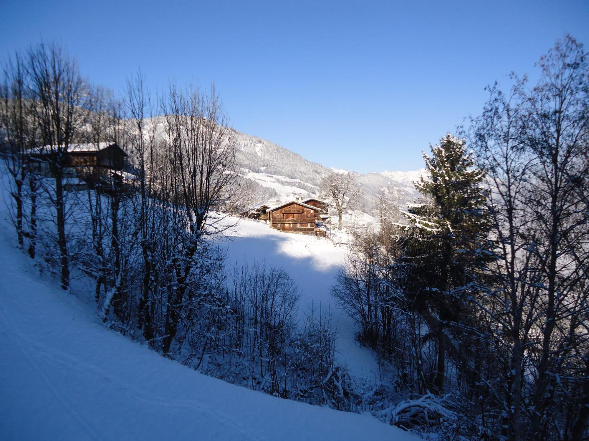 Apart Bianca Zillertal Kaltenbach Exterior foto